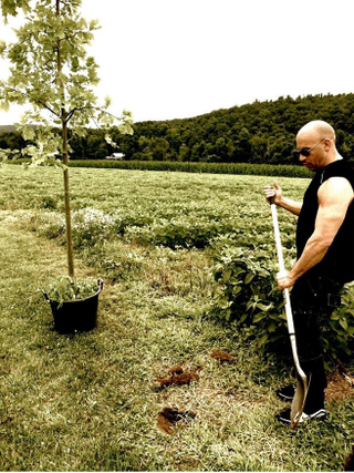 Illustration for article titled Gillan's ALS Ice Bucket, and Plant a Tree for Groot with Vin.